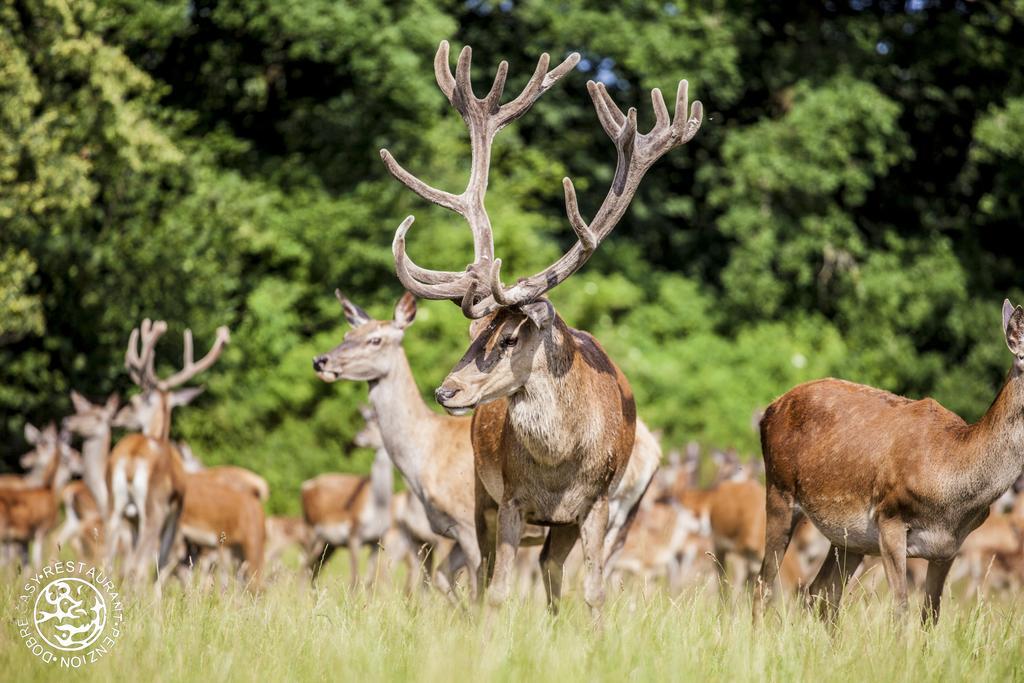 Penzion Dobre Casy Jindrichuv Hradec Luaran gambar